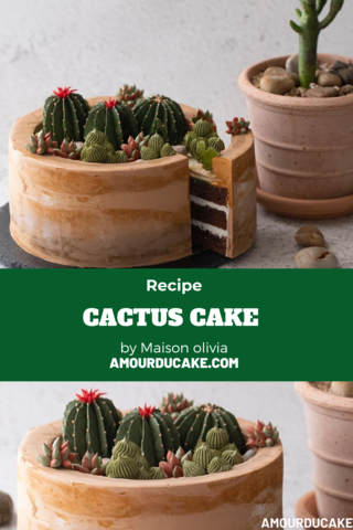 Cactus cake by Maison_olivia